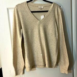 NWT Loft Sparkle Sweater Medium